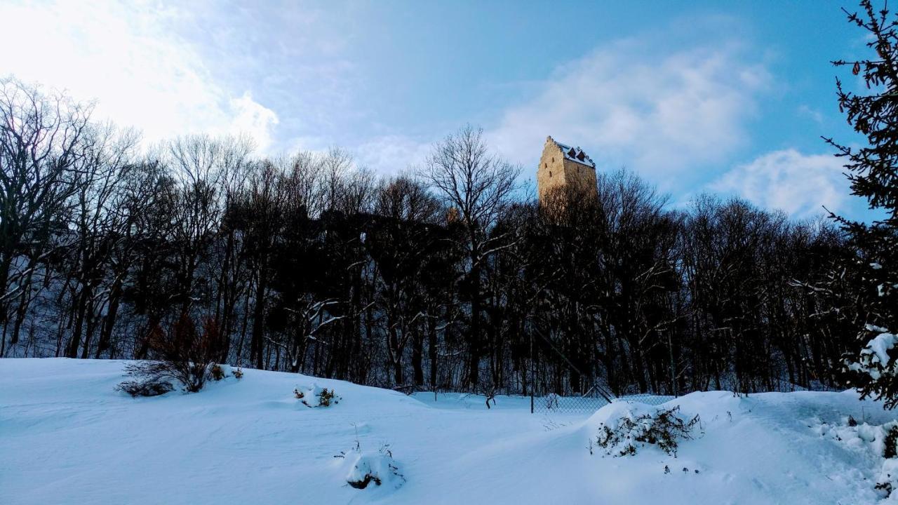 Pod Hradom Restaurant & Pension Topoľčany Kültér fotó